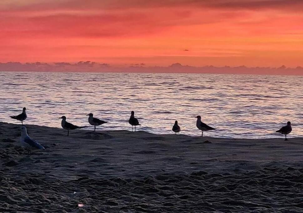 North Ocean City Newly Remodeled Luaran gambar